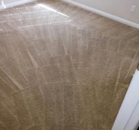 918 Carpet Cleaning