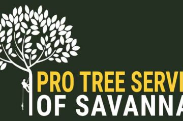 Pro Tree Service of Savannah