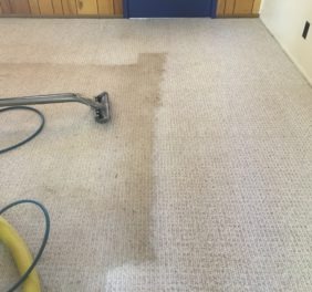 Tempe Carpet Cleaners