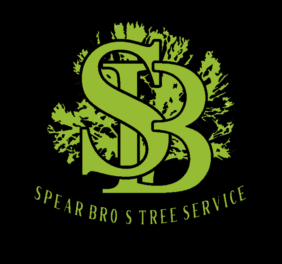 Spear Bro’s Tree Ser...