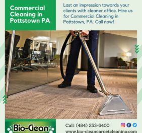 Bio-Clean Carpet Cle...