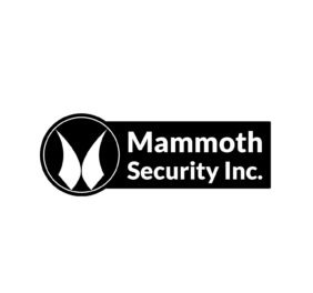 Mammoth Security Inc...