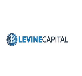 Levine Capital Manag...