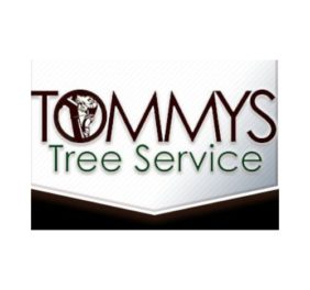 Tommy’s Tree S...