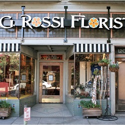 G Rossi Florist Inc
