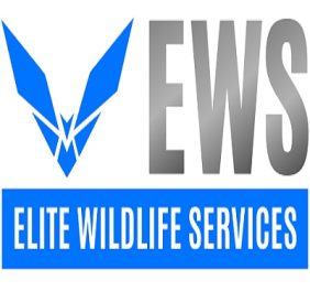 Elite Wildlife Servi...