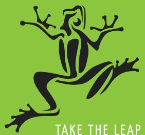 LeapFrog Promotions