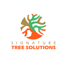 Signature Tree Solut...