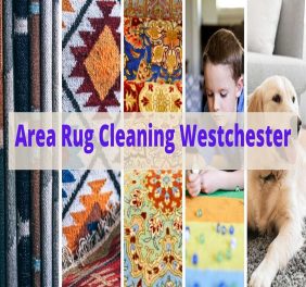 Area Rug Cleaning We...