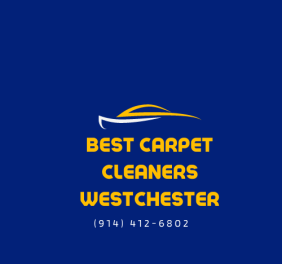 Best Carpet Cleaners...