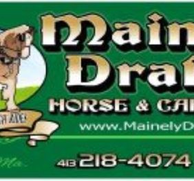 Mainely Drafts Horse...
