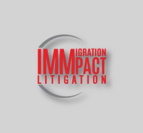 IMMpact Litigation &...
