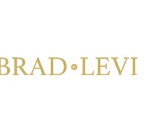 Brad Levi Jewelry