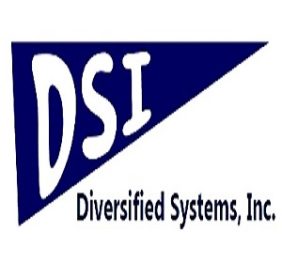 DSI Diversified Syst...