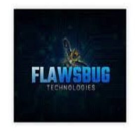 Flaws Bug-Tech