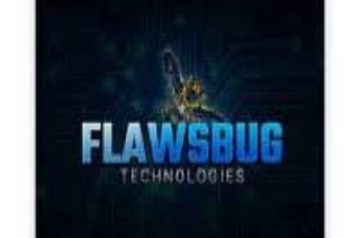 Flaws Bug-Tech