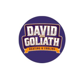 David & Goliath ...