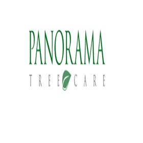 Panorama Tree Care – Tree Removal in Tampa