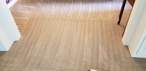 Complete Carpet