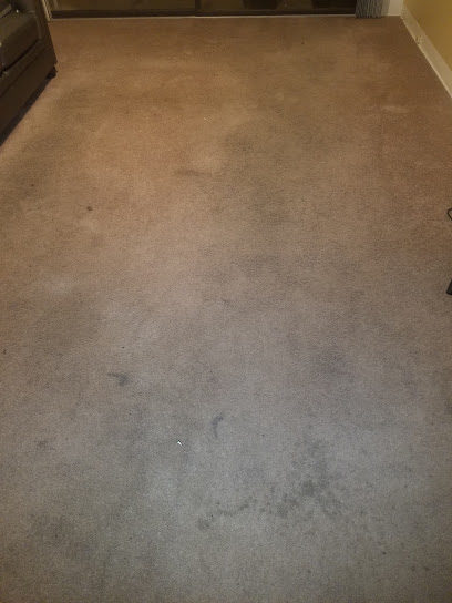 Deep Steam Carpet Cleaning