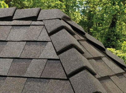 Professional Roofing