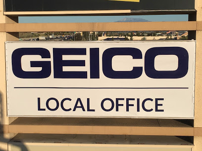 GEICO Insurance Agent