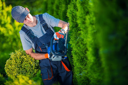 Las Vegas Landscaping Services