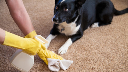 Refresh Carpet Cleaning