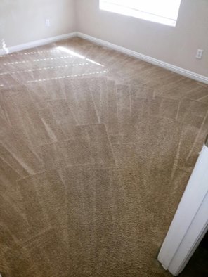 918 Carpet Cleaning