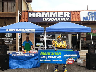 Hammer Insurance Services Inc.