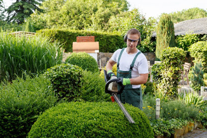 Landscaping San Bernardino CA