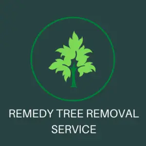 Remedy Tree Removal Service