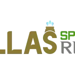 Dallas Sprinkler Repair