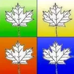 Advanced Asthma & Allergy Center