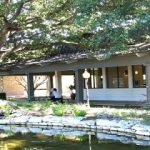 Austin Life Chiropractic