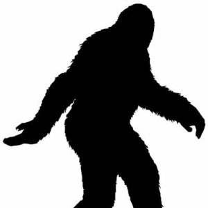 Avalanche Roofing Contractors of Spring TX