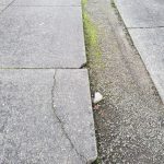 Best In Concrete Services