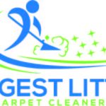 Biggest Little Carpet Cleaners