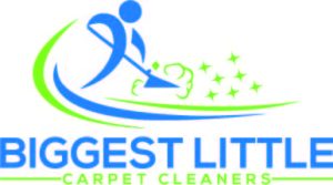 Biggest Little Carpet Cleaners