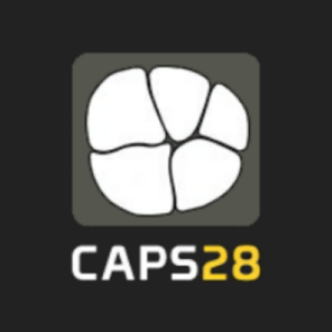 CAPS28 (Computing Assisted Practice Solutions)