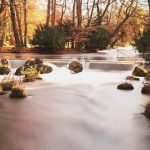 DeWitt Law Firm – Attorney Kathleen M. Newman