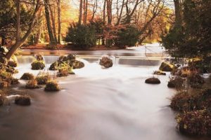 DeWitt Law Firm – Attorney Kathleen M. Newman