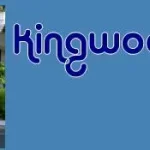 Kingwood Landscaper