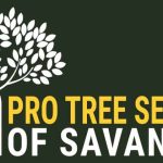 Pro Tree Service of Savannah