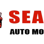 Seattle Auto Mobile Detailing