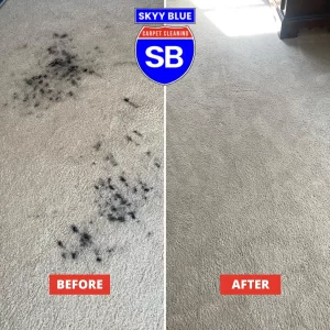 Skyy Blue Carpet & Hard Floors Cleaning