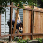 Sunshine handyman service