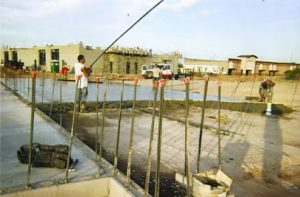 Taylor Made Custom Concrete LLC