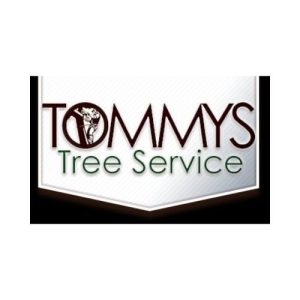 Tommy’s Tree Service